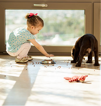 Floor care and maintenance products