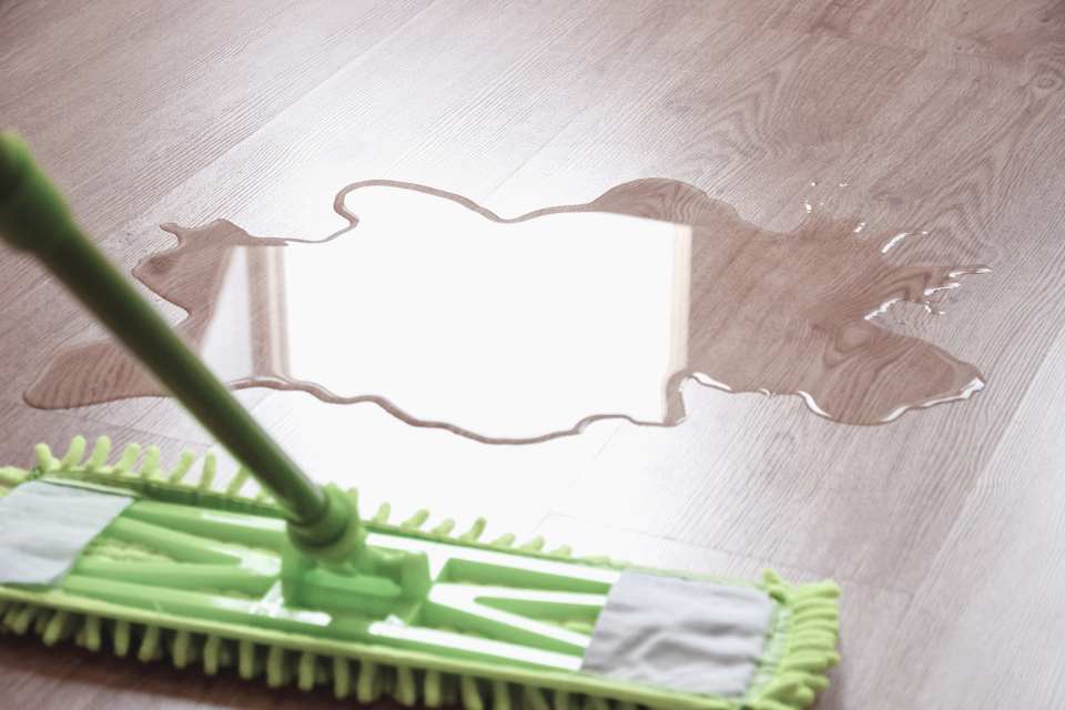 Floor care and maintenance products